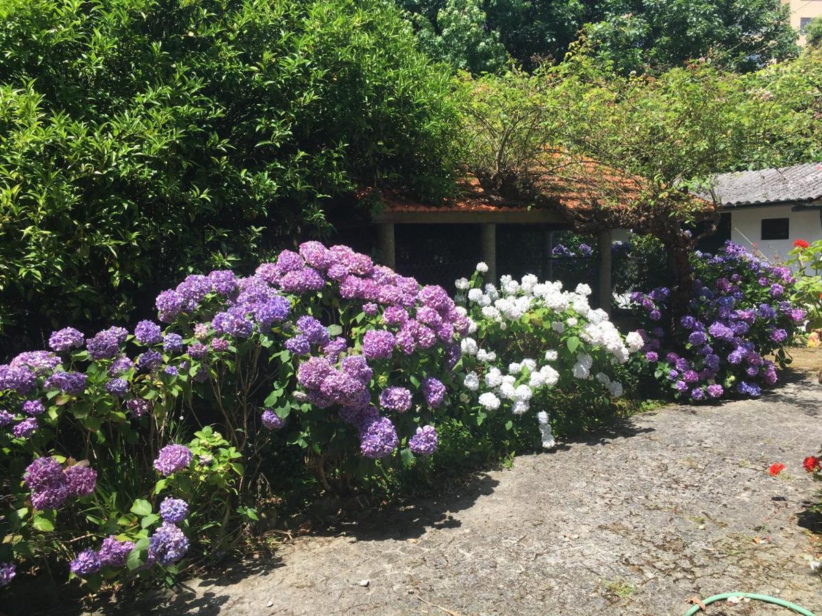 فندق بورتوفي  The Oaks House Foz المظهر الخارجي الصورة